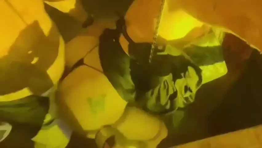 He gets excited at the DISCO and ends up having good SEX IN THE BATHROOM