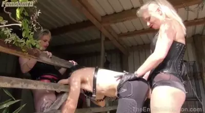 TheEnglishMansion Pounding The Pony