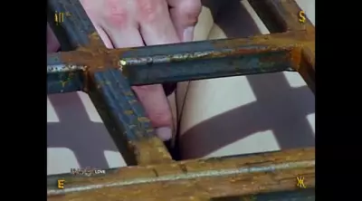 Insex 49, 412, 731 Farm 3 (Remastered)