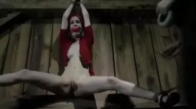 Hardtied 2007-07-11 Calico