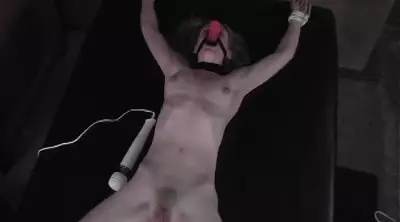 SocietSm Lucy Brit p2